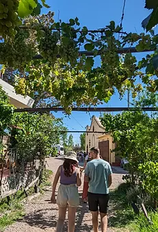 Bodega Familia Cecchin