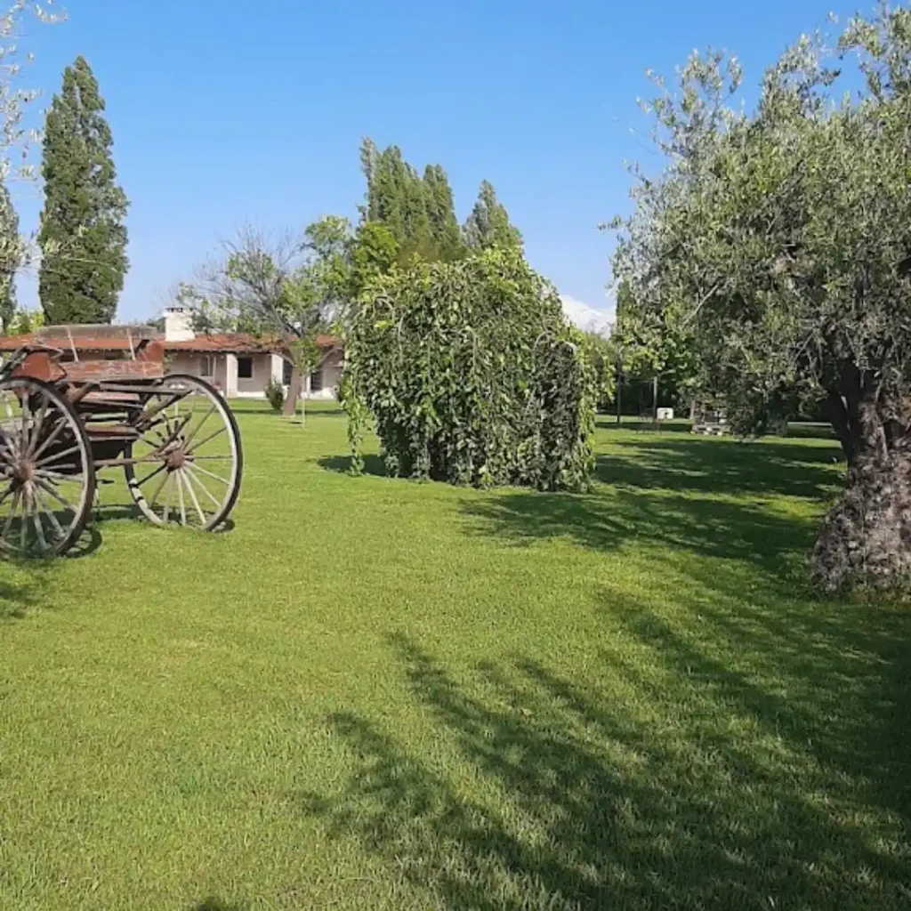 Catapano Wines