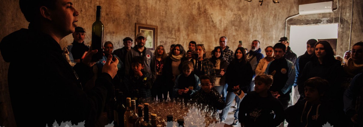 Bodega Labiano
