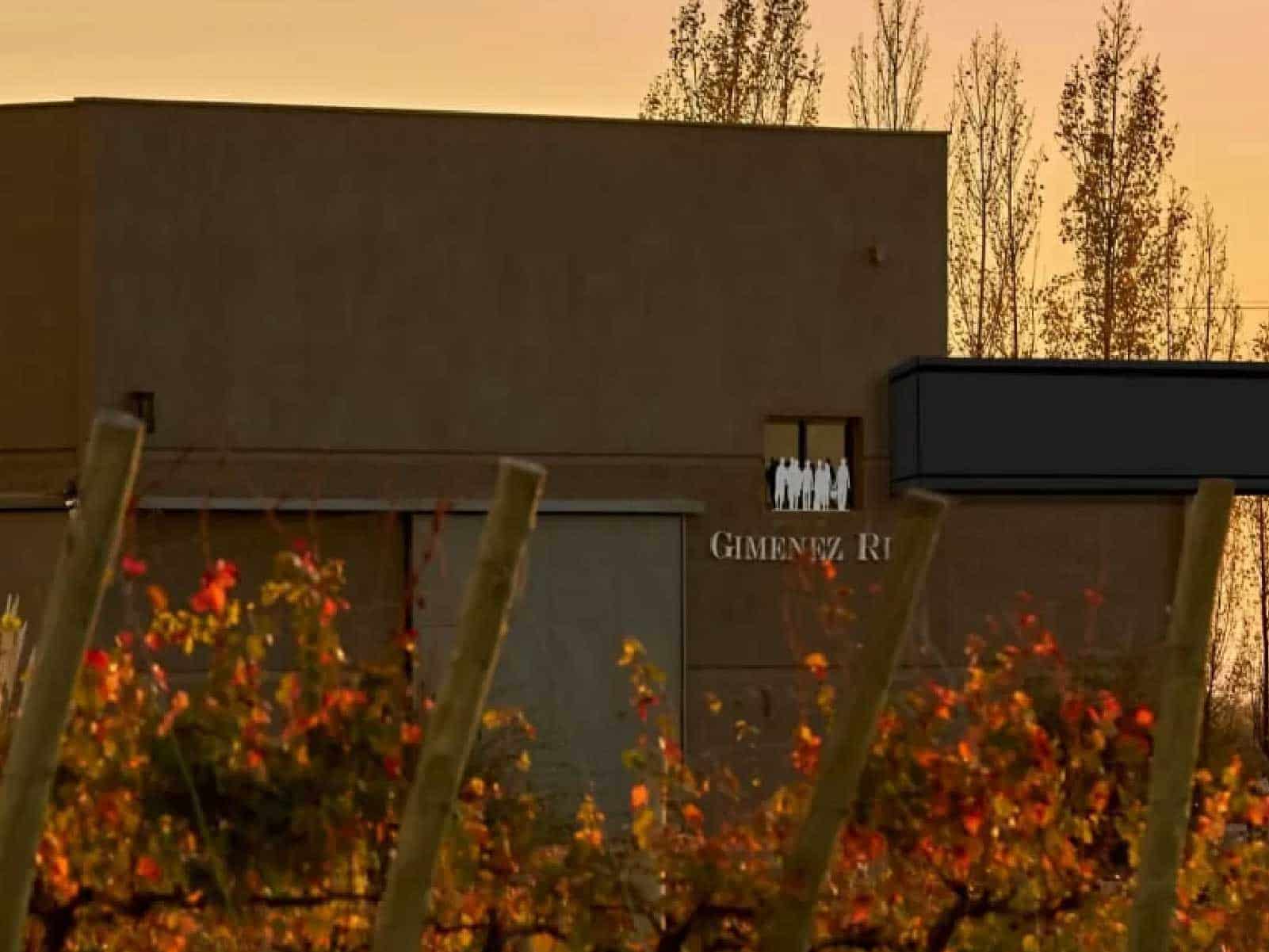 Bodega Giménez Riili