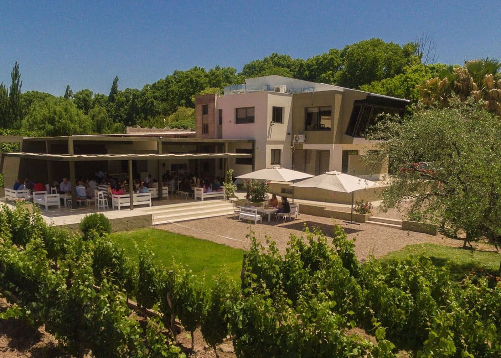 Bodega Bonfanti