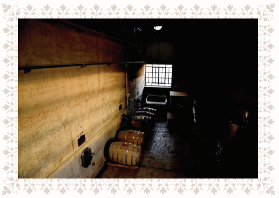 Bodega Iúdica