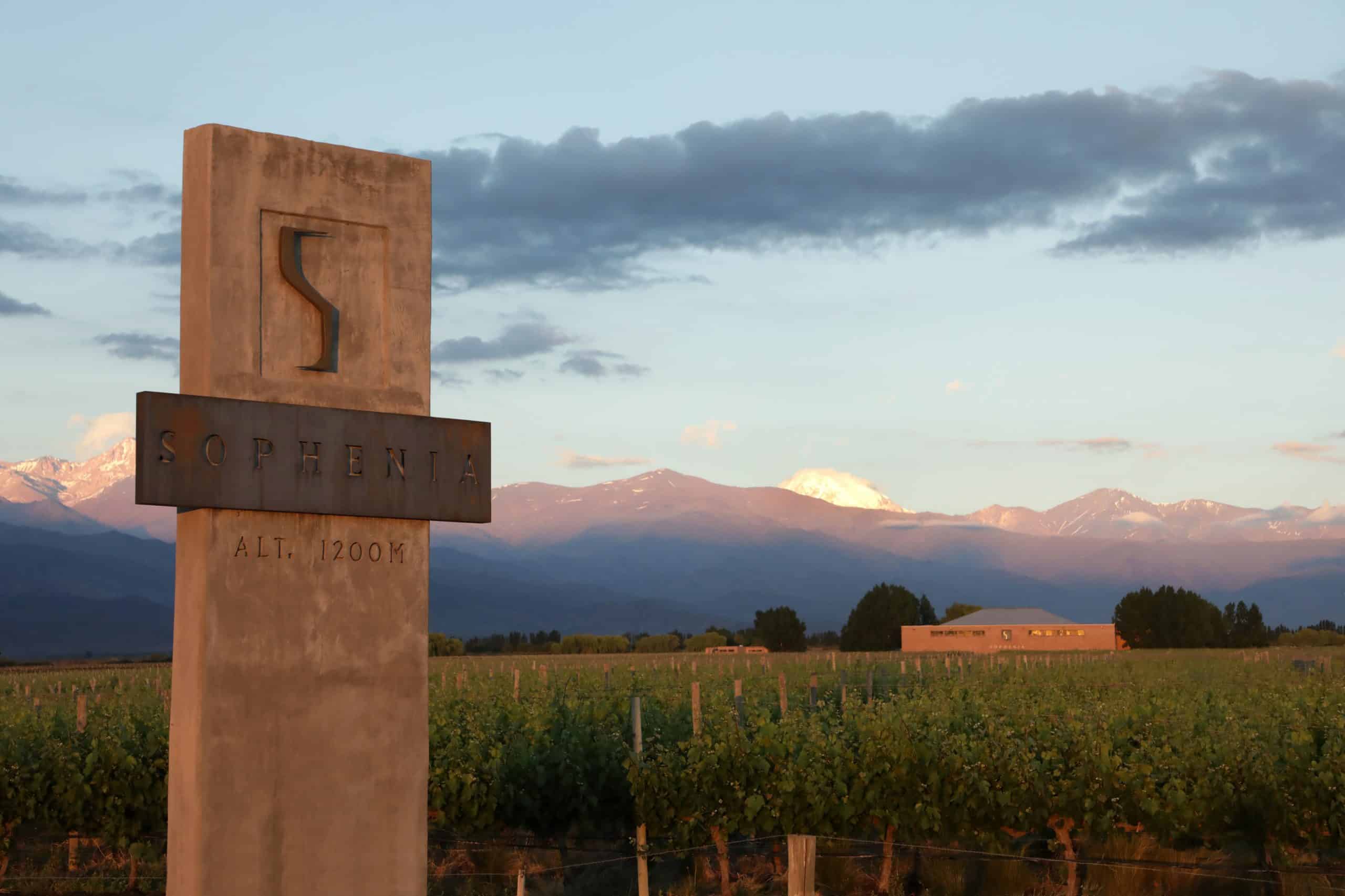 Bodega Sophenia