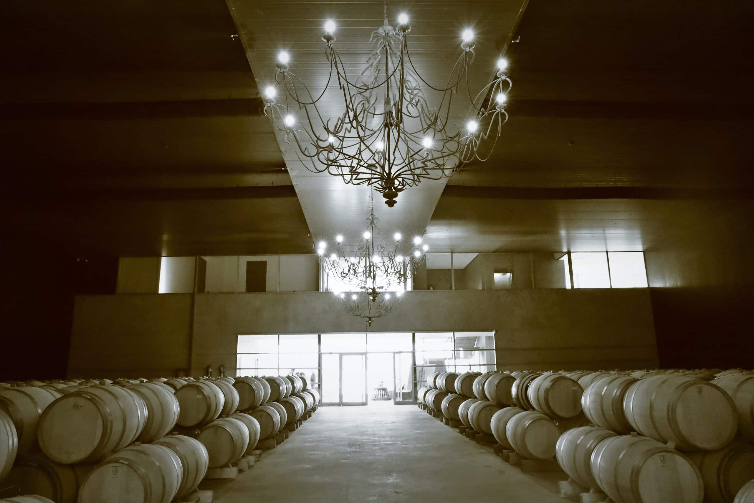 Bodega Rolland