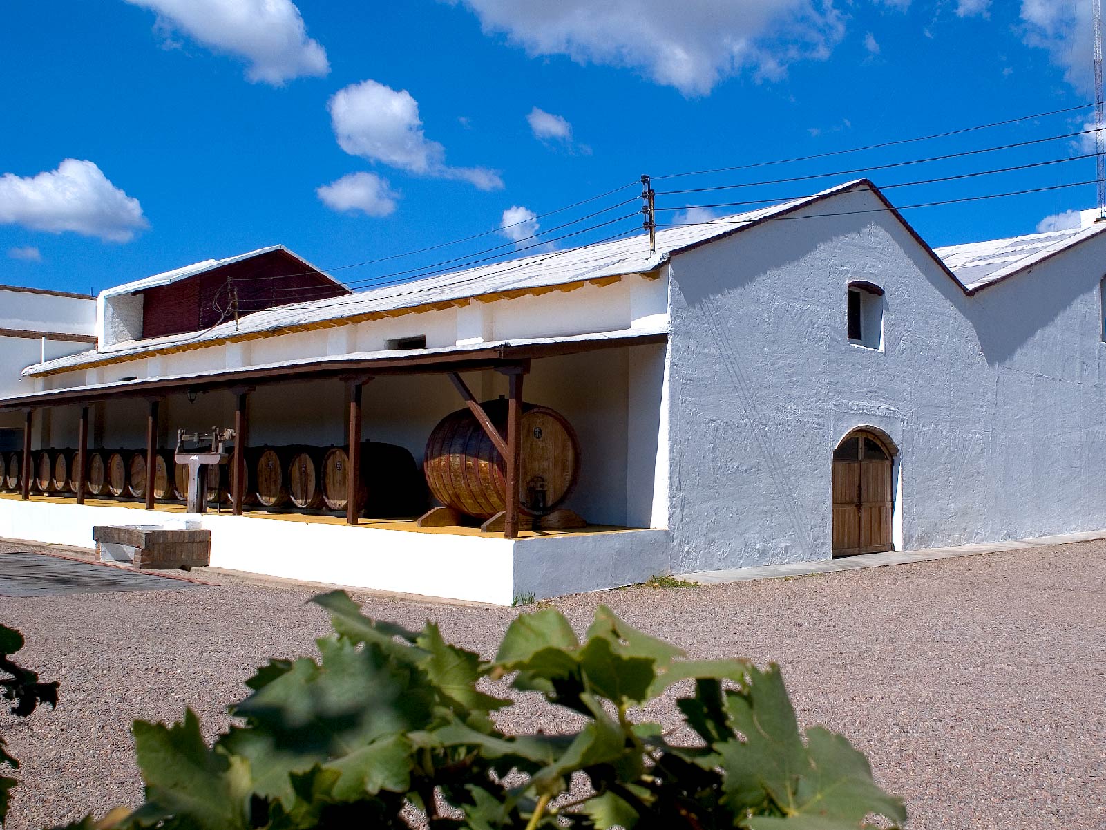 Bodega Cabrini