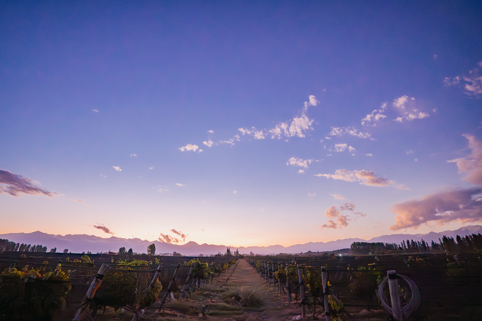 Bodega Raffy – Familia Zanchetta