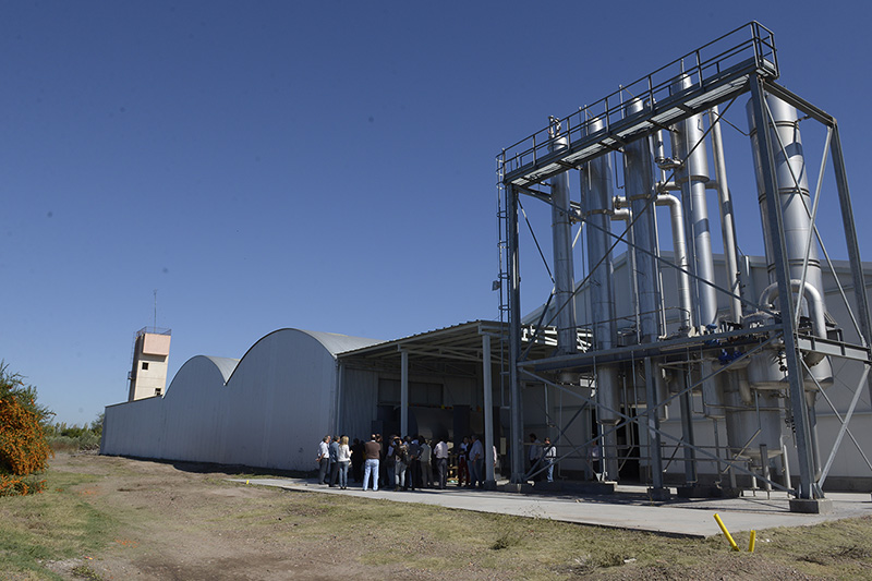 Bodega Raices de Junín