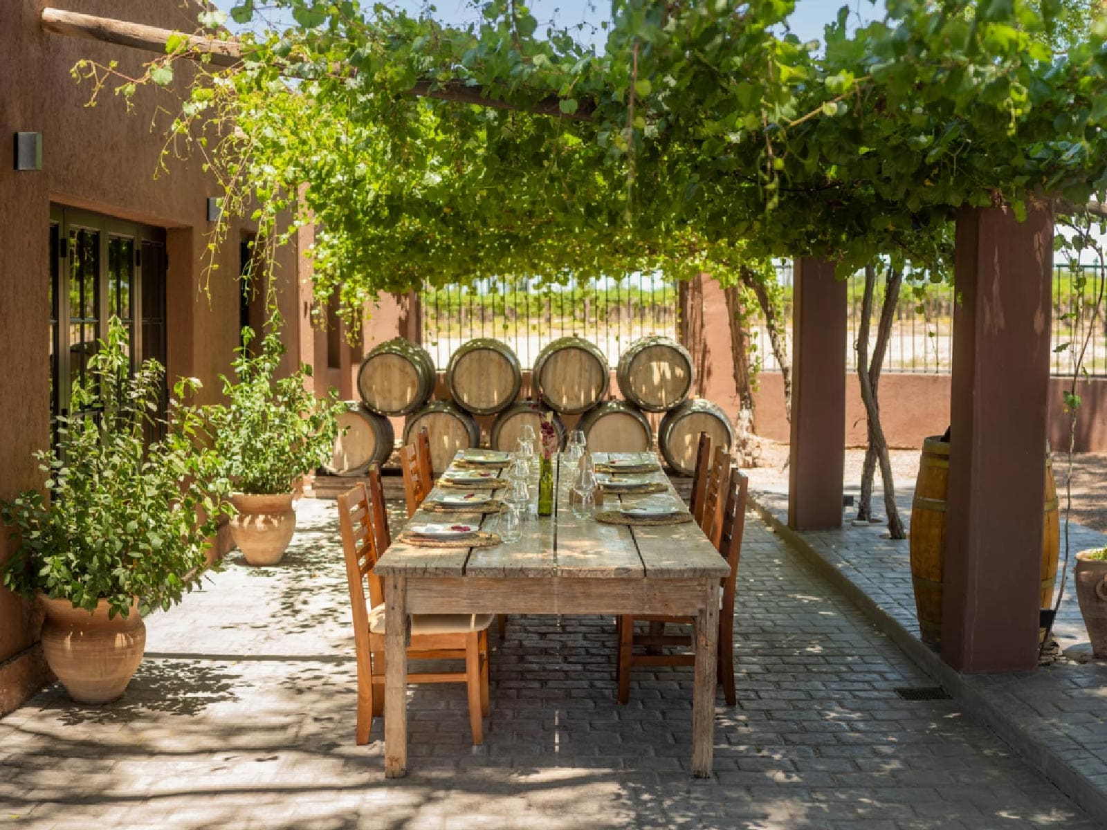 Bodega Pascual Toso